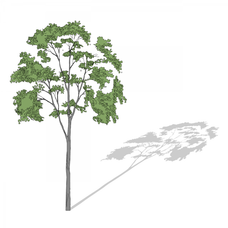 20_Smart-Tree-3D